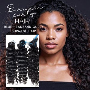 Burmese-cury-hair